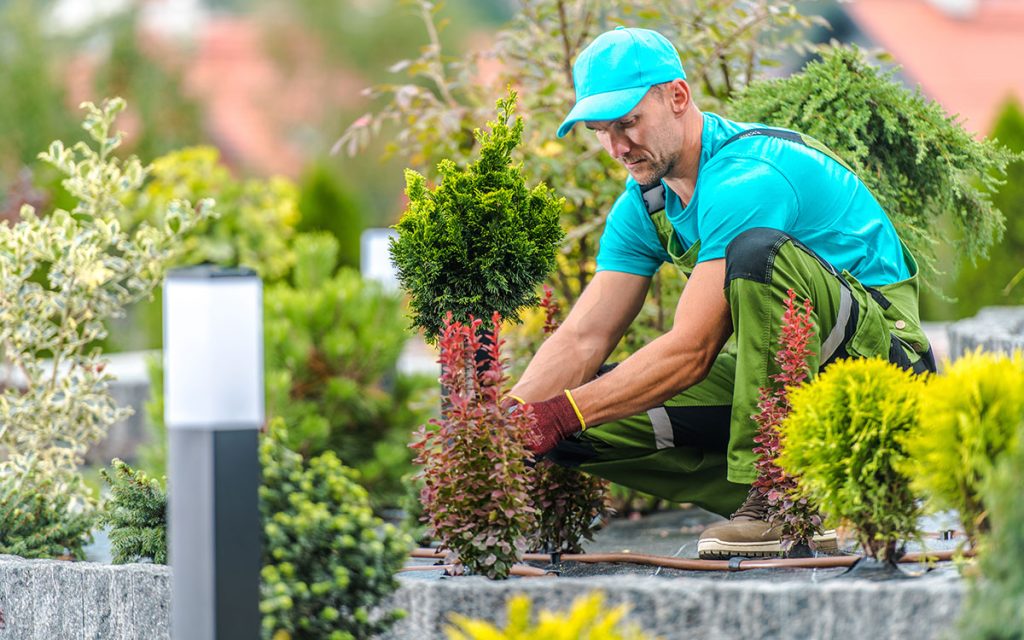 Alain espaces verts