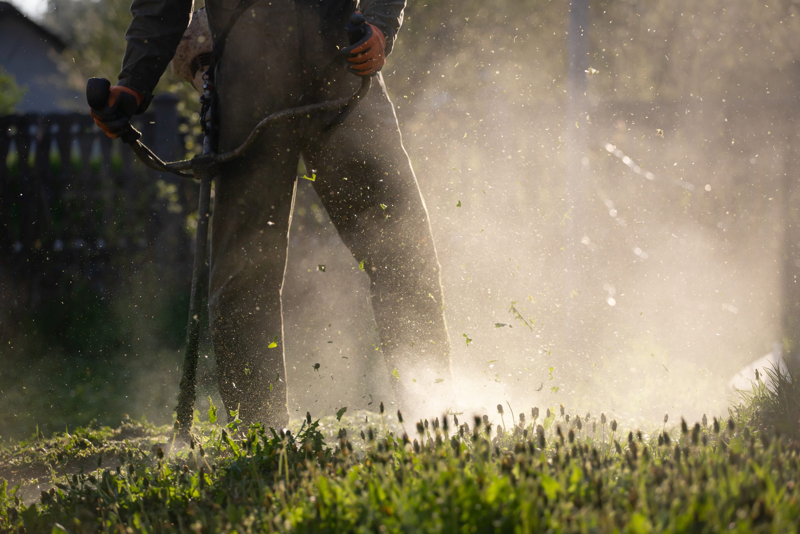 Mowing the grass with a lawn mower. Garden work concept background.